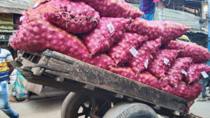 ভারতীয় পেঁয়াজে আমদানিকারকদের সর্বনাশ