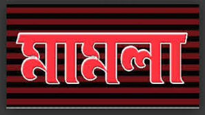 দক্ষিণ চরহোগলপাতিয়া ইসলামিয়া দাখিল মাদ্রাসার সভাপতিসহ ২৭ জনের বিরুদ্ধে মামলা