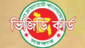 বাবুগঞ্জে ৩ ইউপি চেয়ারম্যানের বিরুদ্ধে ইউএনওর অভিযোগ
