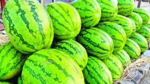 বরিশালে কেজি দরে তরমুজ বিক্রি করায় ১৪ ব্যবসায়ীকে  জরিমানা