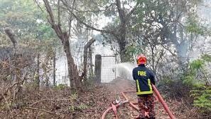 আগুনে পুড়লো জাবির ১৫ একর বন