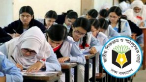 মাধ্যমিকে চালু হচ্ছে বিভাগ বিভাজন, যা জানা গেল