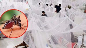 ডেঙ্গুতে গত ২৪ ঘন্টায় আরও ২ জনের মৃত্যু