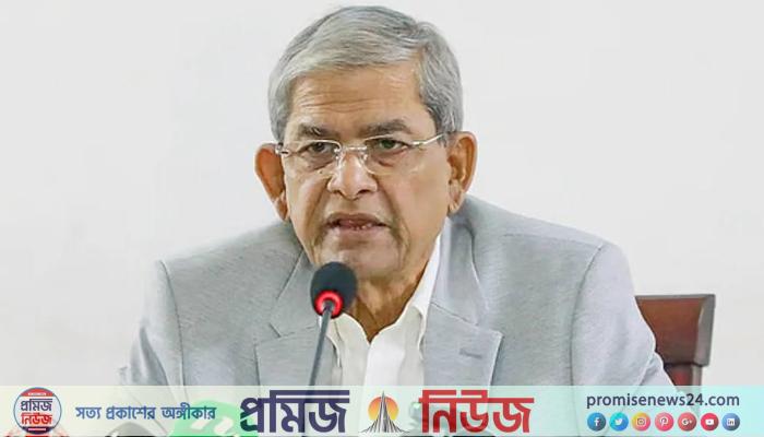 স্থানীয় নির্বাচন দলীয় প্রতীকে হবে না : মির্জা ফখরুল