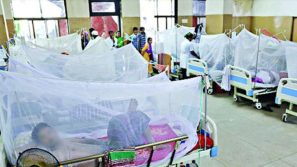 ডেঙ্গুতে একদিনে সর্বোচ্চ ১১ জনের মৃত্যু
